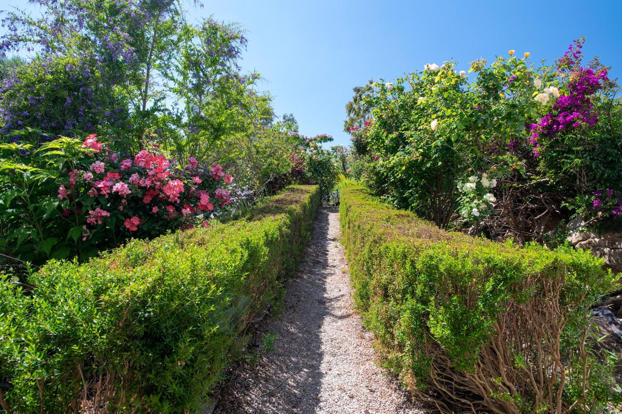 Sardinia Re - Villa Fioretta Flowers Apartments Ольмедо Екстер'єр фото